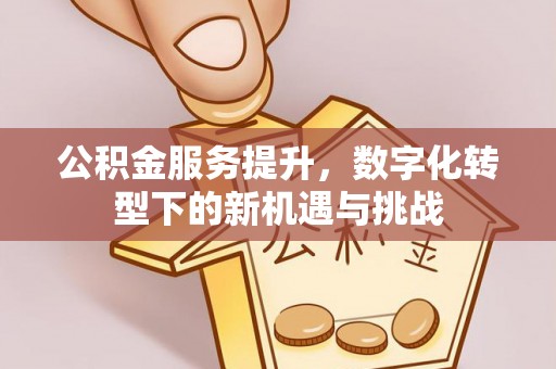 建始公积金服务提升，数字化转型下的新机遇与挑战