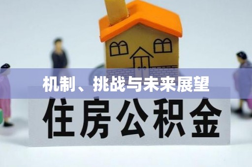 建始机制、挑战与未来展望